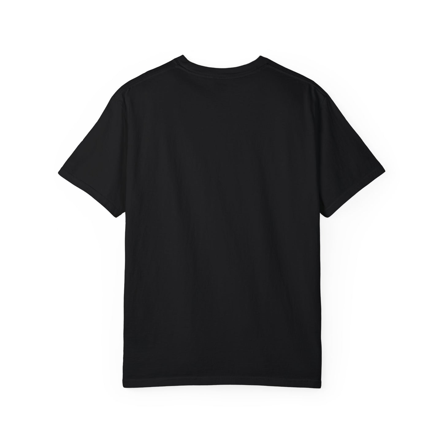 Derek lee Promo T